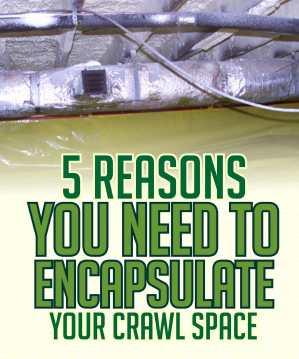 Crawl Space Encapsulation Free eBook Free eBook-5 Reasons Why You Need To Encapsulate Your Crawl Space